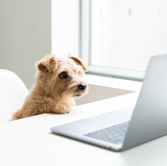 custom installations